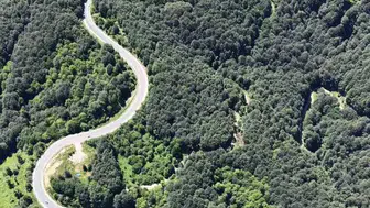 İnegöl ile Domaniç arasındaki o meşhur yol yeşile büründü