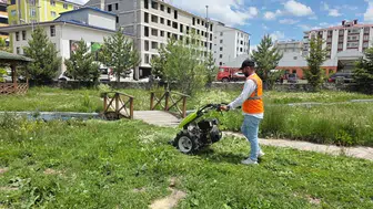 Ardahan’da yağmur sonrası ot temizliği mesaisi başladı