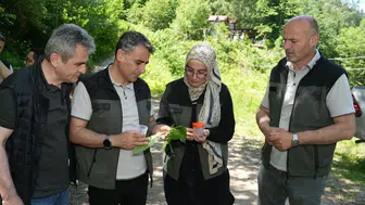 Artvin ormanlarına kestane nöbeti için 5 bin özel arı bırakıldı