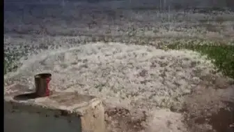 Kars’ta gece yarısı bastıran dolu yağışı köyü beyaza bürüdü