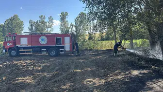 Muratlı’da hasat öncesi tarlalar alevlere teslim oldu