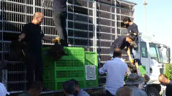 Gercüşlü üreticinin kümesine devletten hibeli destek