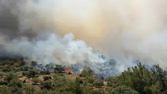 Dikili'de alevler tarım arazisinden makilik alana sıçradı