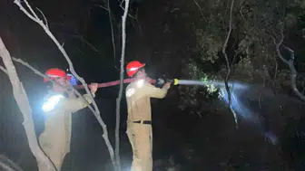 Dalaman ormanlarında gece yarısı korkutan yangın