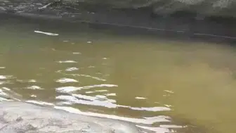 Rize’de şiddetli yağış alabalık tesisini yerle bir etti