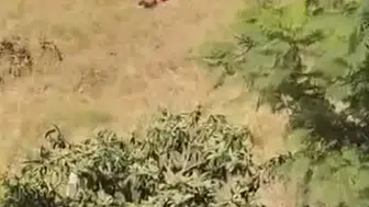 Adana'da babadan oğluna kanal kenarında şiddet