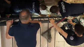 Edirne’de kütüphaneye sığınan hamile kedi için duvarları yıktılar