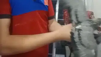 Adıyaman'da apartman boşluğunda mahsur kalan güvercini itfaiye kurtardı