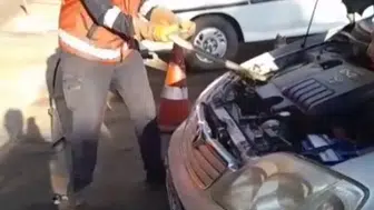 Hendek'te otomobilin kaputuna giren davetsiz misafir