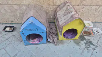 Eskişehirli bir vatandaş sokak kedileri için kartondan yuvalar hazırladı