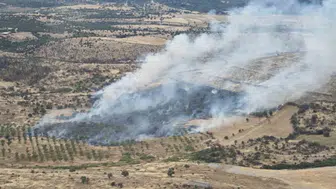 Çanakkale Ezine’de orman yangını korkuttu