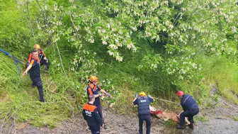 Samsun'da kayalıklara sıkışan düveleri kurtarma operasyonu