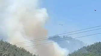 Soma ormanlarında yangın paniği