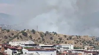 Nazilli’deki zeytinliklerde korkutan yangın