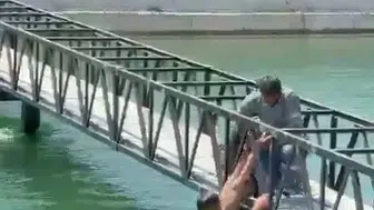 Adana'da sulama kanalında ölümden döndüler
