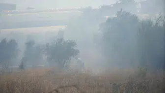 Antalya Aksu'da alevler seraları teğet geçti