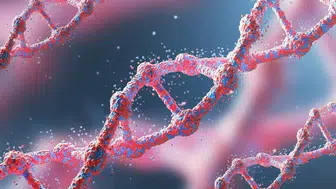 Bilim dünyasında devrim Yaşlı hücreleri gençleştiren gen terapisi başladı