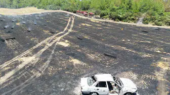 Adana'da park halindeki araç ormanı ateşe verdi