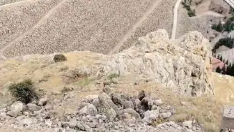 Keban yamaçlarında yaban hayatı şöleni