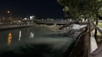 Bakırköy sahilinde binlerce ölü balık kıyıya vurdu