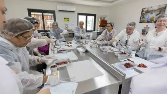 Mersin’in tescilli kan portakalı artık çikolata ile raflara çıkıyor