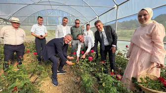 Kocaeli’de gül devrimi 35 yaşındaki girişimci ilk serasını açtı