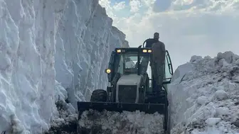 Şırnak yaylalarında Haziran ortasında kar mesaisi
