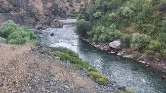 Bitlis'te serinlemek isteyen üç kardeşten biri hayatını kaybetti