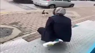 Sokak kedisine kimyasal sıkan market çalışanı beraat etti