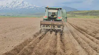 Adilcevaz toprağı fasulye ile buluştu