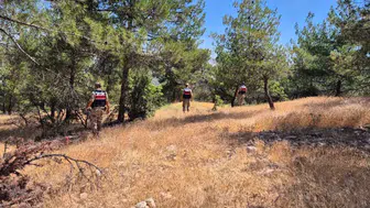 Kilis'te ormanları korumak için jandarma sahaya indi