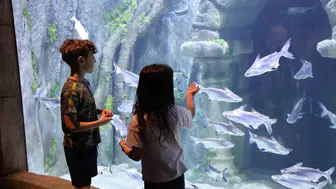 Kocaeli yeni akvaryumuna ilk günden yoğun ilgi gösterdi