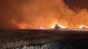 Mazıdağı’nda gece yarısı çıkan yangın hasat öncesi tarlaları vurdu