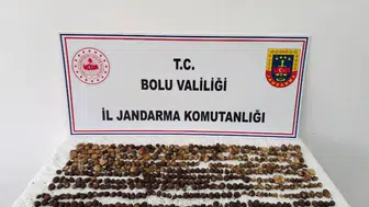 Bolu’da 4,5 kilo salep toplayan üç kişiye milyonluk ceza