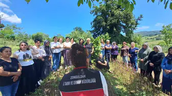 Zonguldaklı kadın üreticiler için salep mesaisi başladı