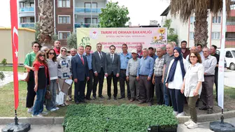 Buharkentli üreticiye 38 bin fide desteği