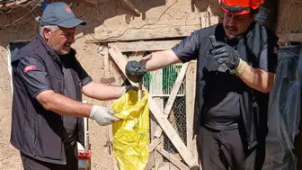 Kırıkkale'de kümes baskını yapan yılan paniği