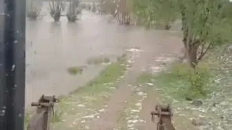 Bolu Gerede’de sağanak yağış köyü sular altında bıraktı