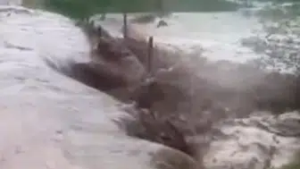 Osmaniye Sumbas'ta aşırı yağış dereleri taşırdı