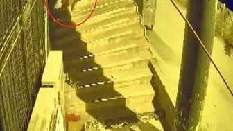 Bursa'da züccaciyeye dadanan hırsız perukla kendini gizledi