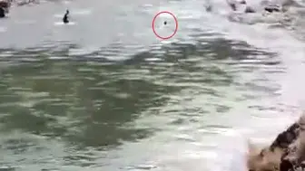 Bingöl’de çay sularına kapılan adamın son anları kamerada
