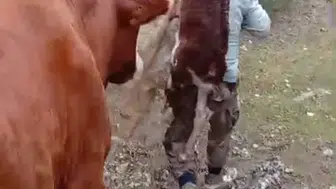 Amasya'da duygulandıran kurtarma operasyonu