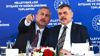 Türkiye'deki yabancı sayısı ve geri dönüş verileri netleşti