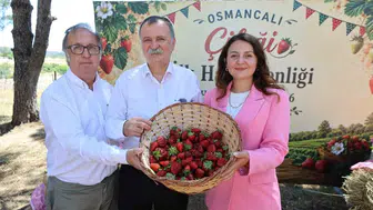 Osmancalı çileği sezonu şenlik havasında açıldı
