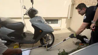 Edirne’de motosikletin motoruna gizlenen davetsiz misafir