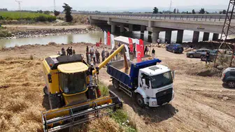 Hataylı gençler kendi ektikleri buğdayı hasat etti
