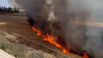 Suruç'ta bir kıvılcım çiftçinin 30 dönümlük emeğini yaktı