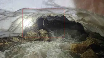 Hakkari’de kar mağarasına düşen tosunu ekipler saatler süren çalışmayla çıkardı