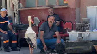Bursa'da bir balıkçı ve leyleğin 10 yıllık sıra dışı dostluğu