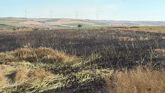 Tekirdağ'da hasat öncesi büyük yangın korkusu